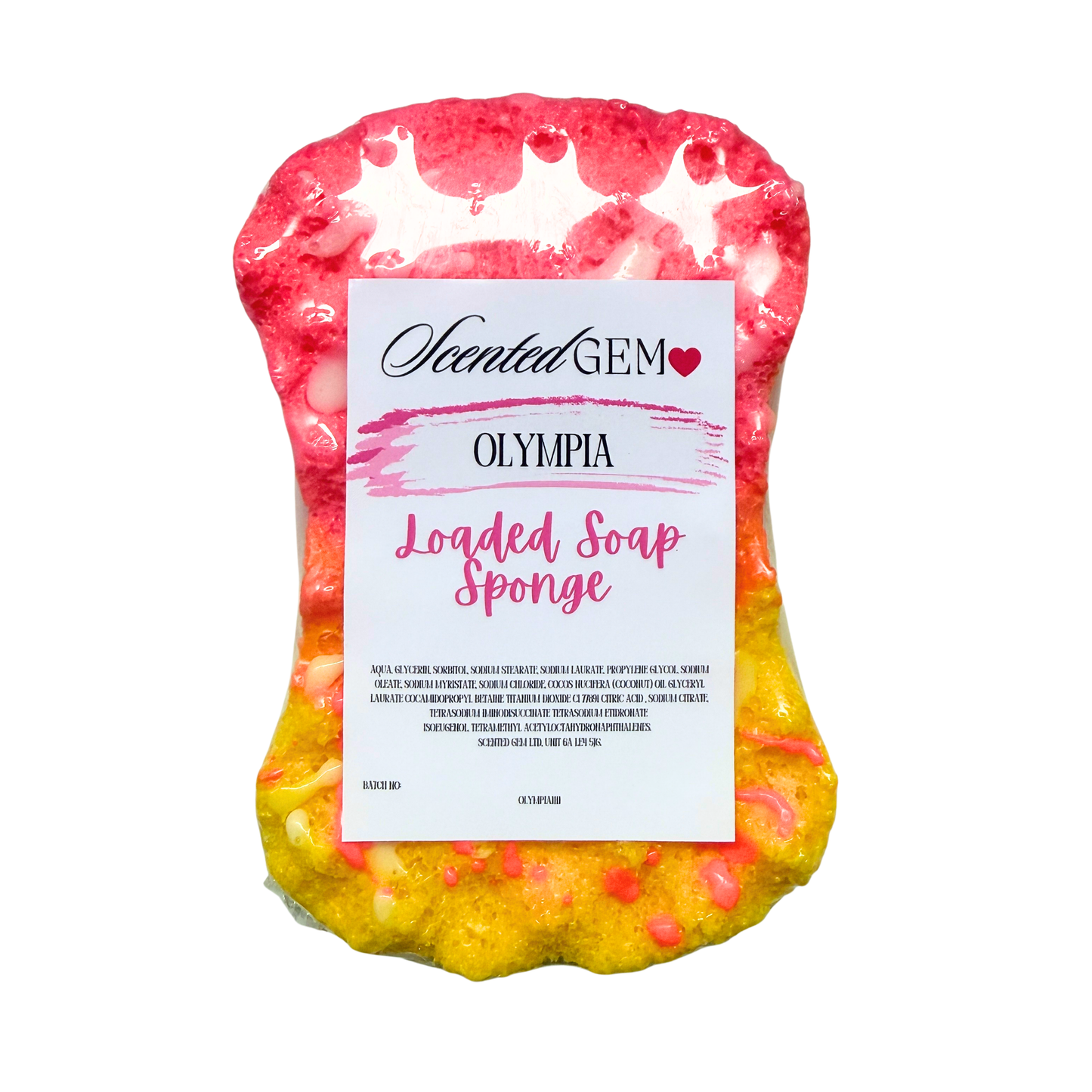 Fully Loaded Soap Sponge
