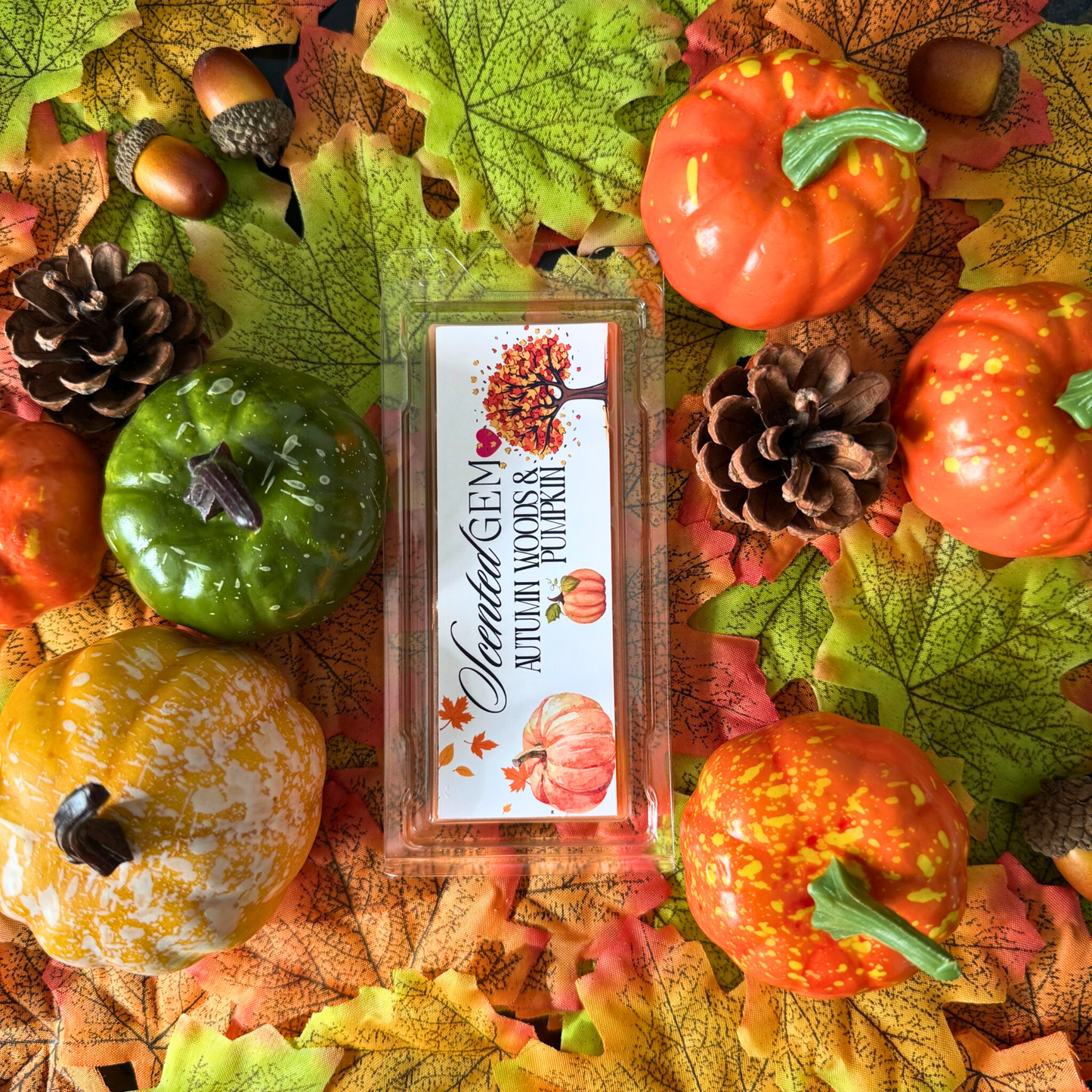 Autumn woods and pumpkin wax melt
