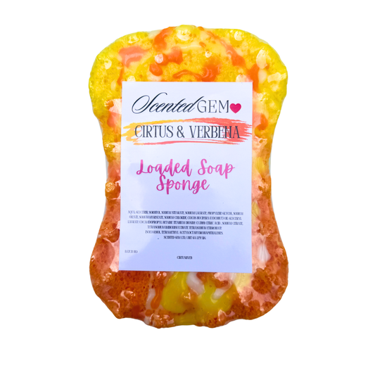 Citrus and verbena Soap Sponge