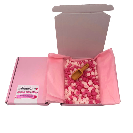 La vie est belle Scoop Me Wax Melt Box (limited time)