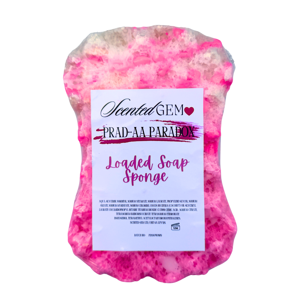 Paradox Soap Sponge
