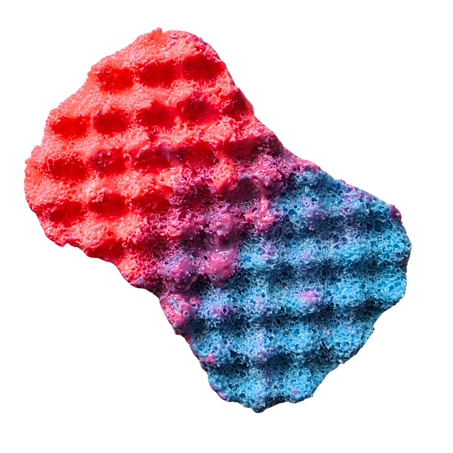 Malibu baarbiie Soap Sponge