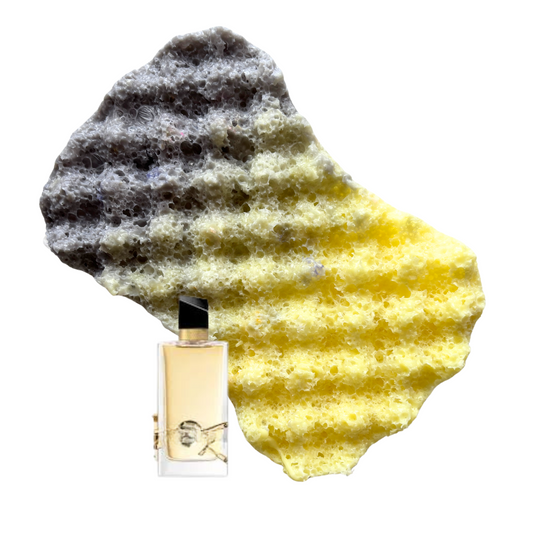 Libre Soap Sponge